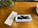 Agrippina Waterproof Rabbit Vibrator